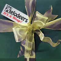 Melodeers : It's a Wrap : 1 CD : Jim Arns : 