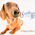 A Mighty Wind : Something in the Air : 1 CD