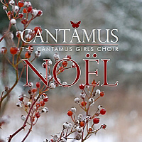 Cantamus : Noel : 1 CD : Pamela Cook