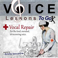 Ariella Vaccarino : Vocal Repair : 1 CD